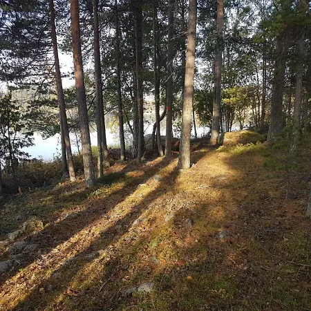 Ranta-keurula * Karkkaala