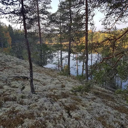 Ranta-keurula * Karkkaala