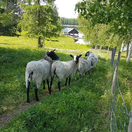 Ranta-keurula * Karkkaala